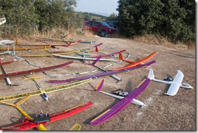 10-09-05-petirrojo-0011