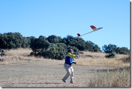 10-09-26-Petirrojo-0002-F5J