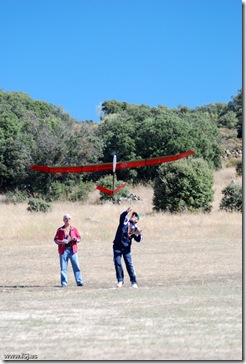 10-09-26-Petirrojo-0034-F5J