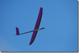 10-09-26-Petirrojo-0037-F5J