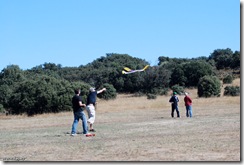 10-09-26-Petirrojo-0043-F5J