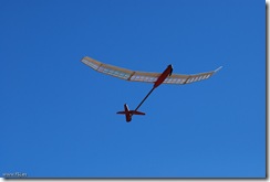 10-09-26-Petirrojo-0050-F5J