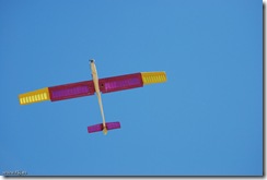 10-09-26-Petirrojo-0053-F5J