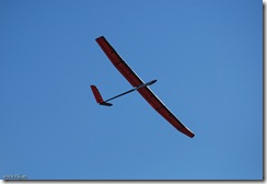 10-10-17-Akiru-0030-F5J