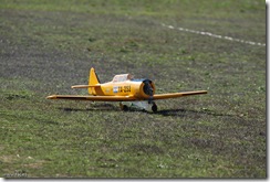 10-11-13-ACNA-Pamplona-0037