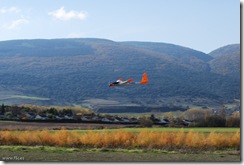 10-11-13-ACNA-Pamplona-0068