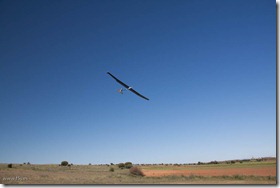 20110515-IMG_0962-1165of072-rcmadrid