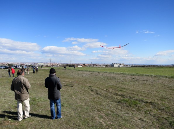 20130224-IMG_1941-16847-alcaudonF5JOpenk4k6