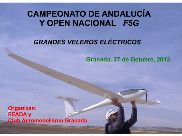 cartelF5GGranada2013-1