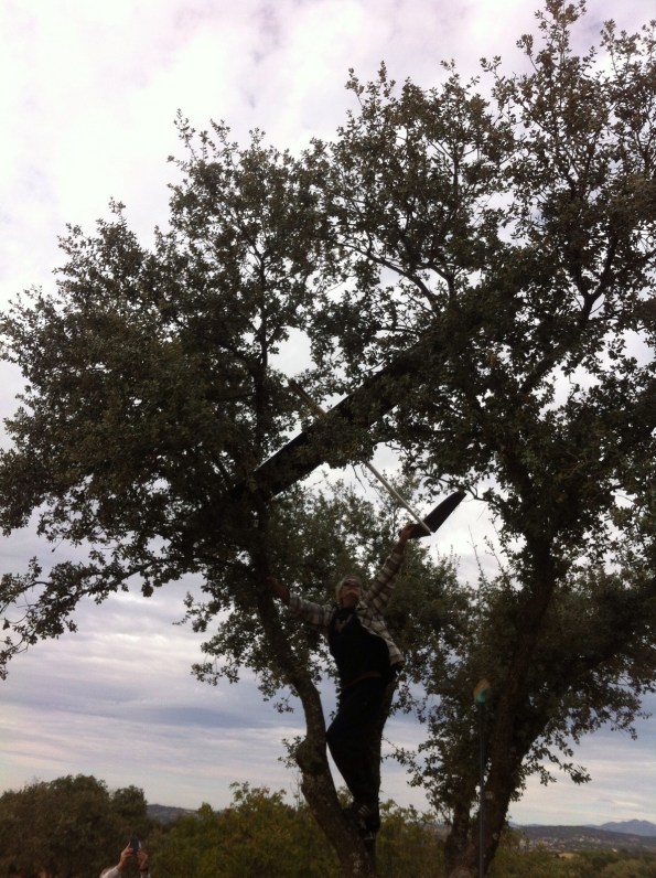 AkIlYCB6ubTYYeLGr4ETOvl-3sB7t__F_ZFsZFEIthTT