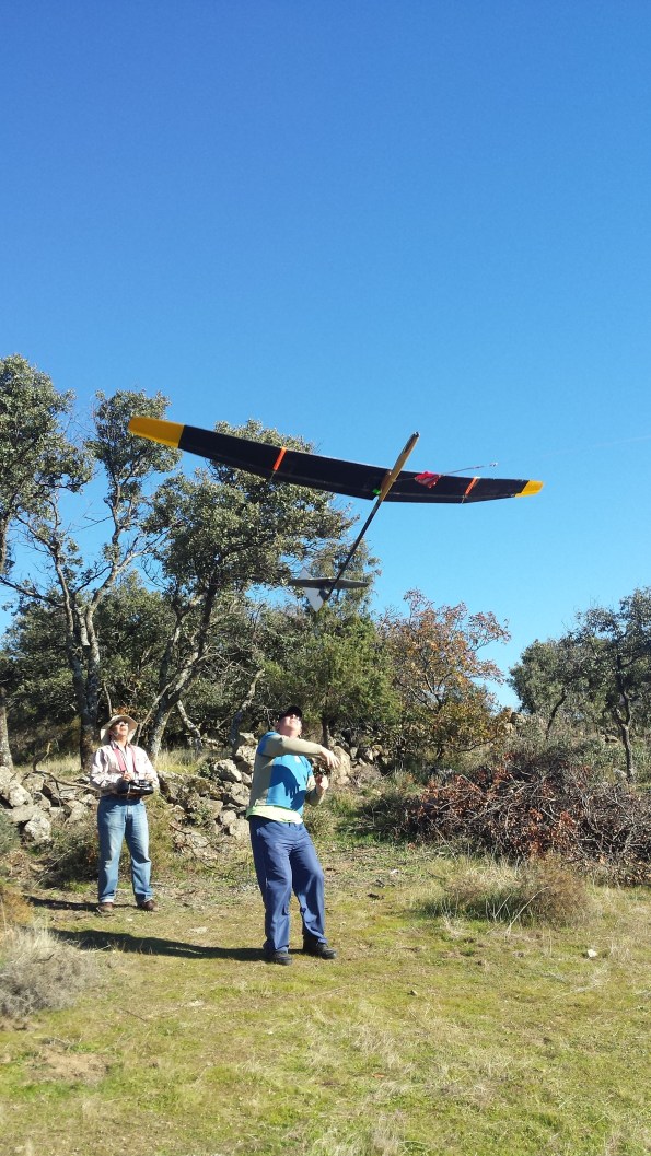 20151129_Langostinos al vuelo