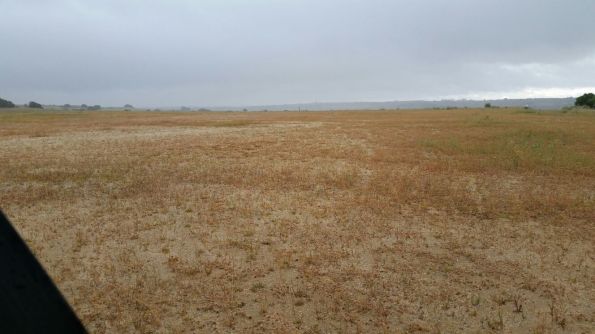 WhatsApp-Image-20160529 (1)