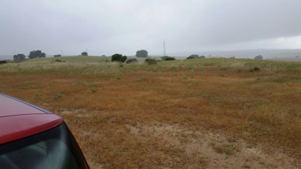 WhatsApp-Image-20160529 (2)