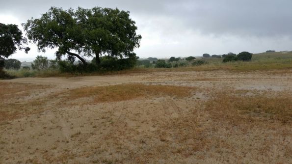 WhatsApp-Image-20160529